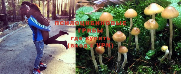 Альфа ПВП Алзамай