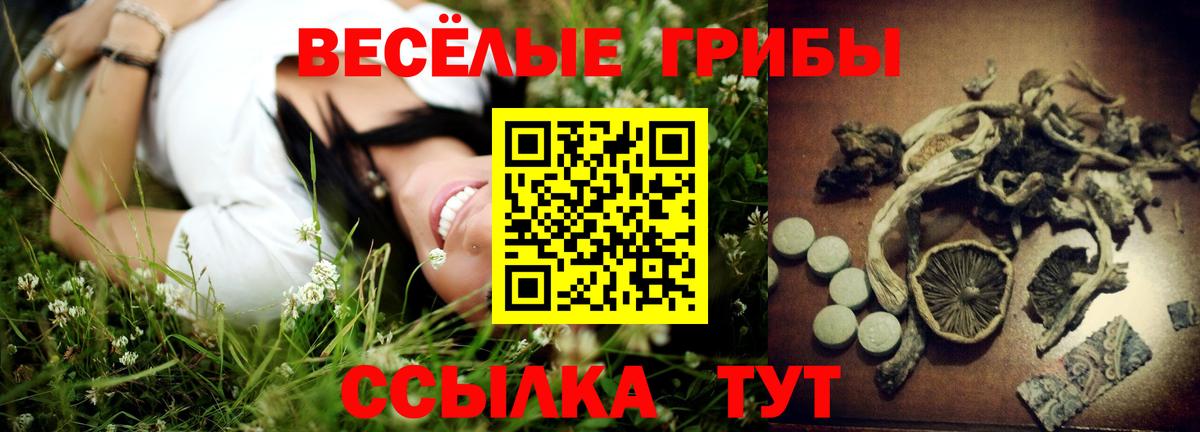 Галлюциногенные грибы Magic Shrooms  Вход с VPN  Саров 